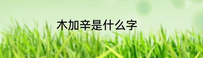 木加辛是什么字
