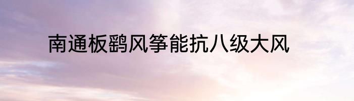 南通板鹞风筝能抗八级大风