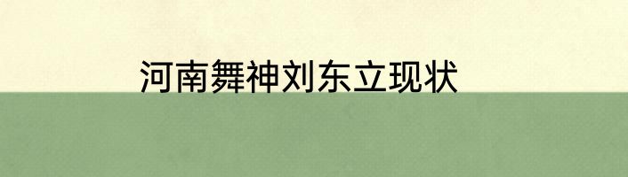 河南舞神刘东立现状
