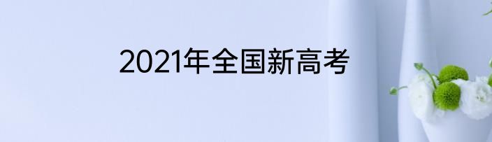 2021年全国新高考