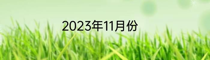 2023年11月份