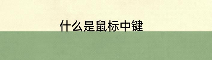 什么是鼠标中键