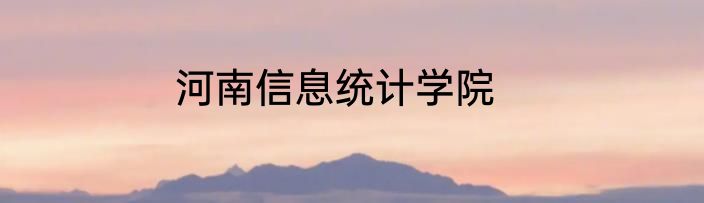 河南信息统计学院