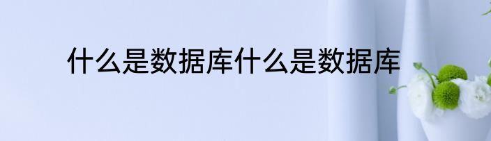 什么是数据库什么是数据库