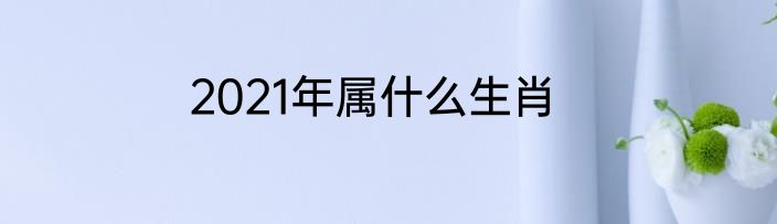 2021年属什么生肖
