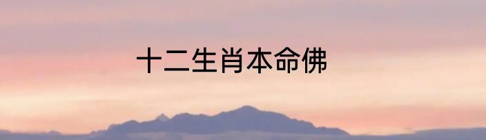 十二生肖本命佛