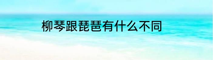 柳琴跟琵琶有什么不同