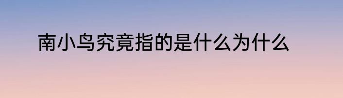 南小鸟究竟指的是什么为什么