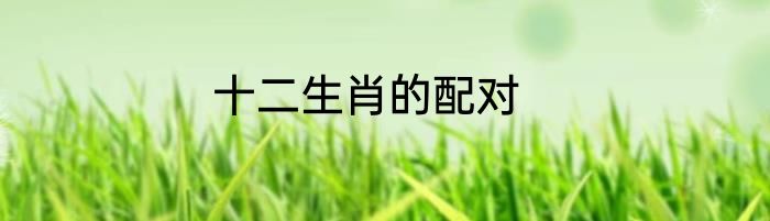 十二生肖的配对