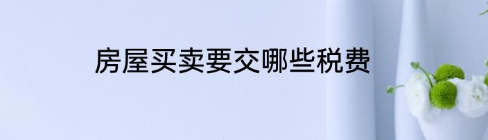 房屋买卖要交哪些税费