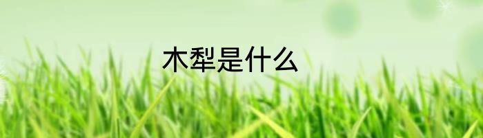 木犁是什么
