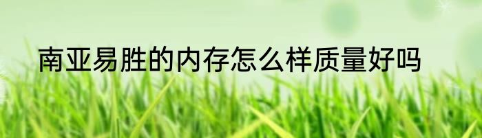 南亚易胜的内存怎么样质量好吗
