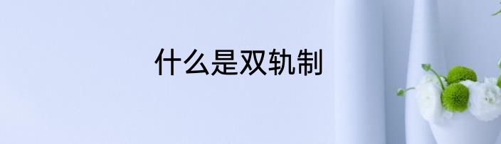 什么是双轨制