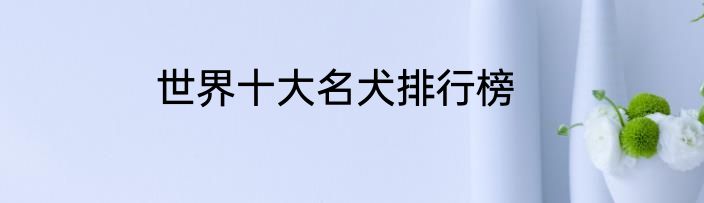 世界十大名犬排行榜