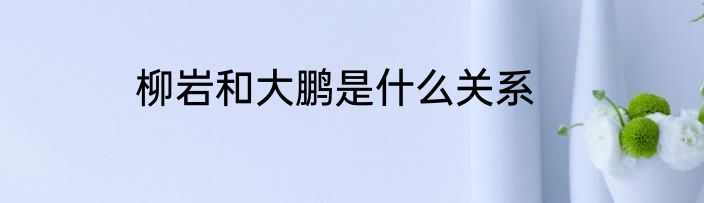 柳岩和大鹏是什么关系