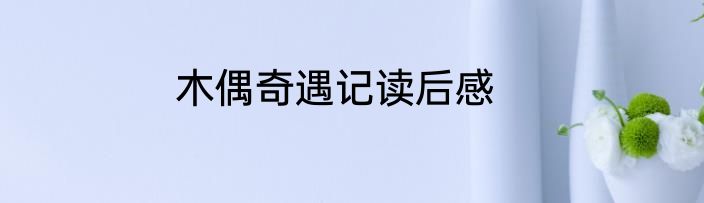 木偶奇遇记读后感