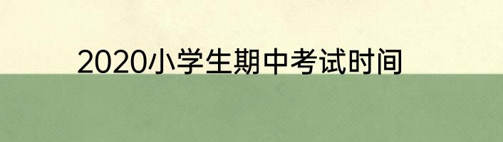 2020小学生期中考试时间