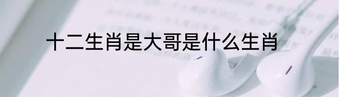 十二生肖是大哥是什么生肖