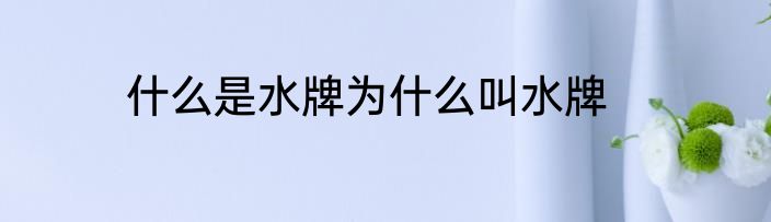 什么是水牌为什么叫水牌