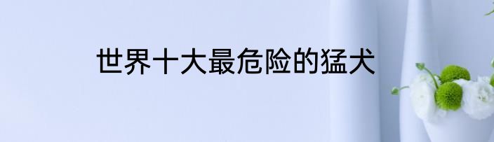 世界十大最危险的猛犬