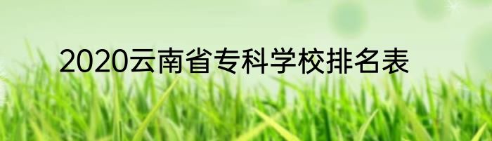2020云南省专科学校排名表