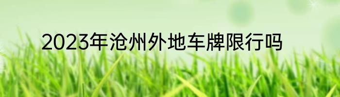 2023年沧州外地车牌限行吗