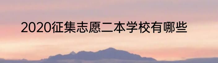 2020征集志愿二本学校有哪些