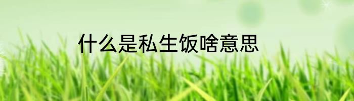 什么是私生饭啥意思