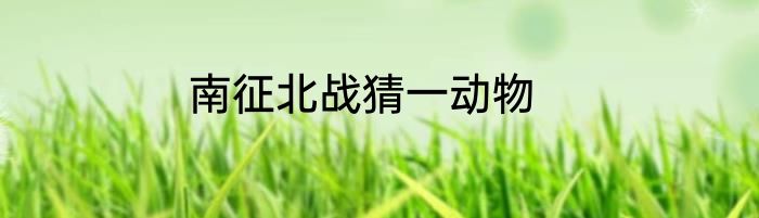 南征北战猜一动物