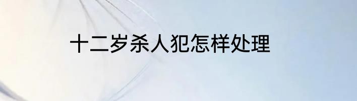 十二岁杀人犯怎样处理