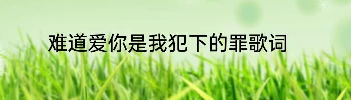 难道爱你是我犯下的罪歌词