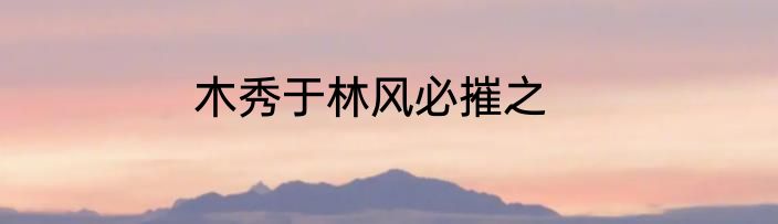 木秀于林风必摧之