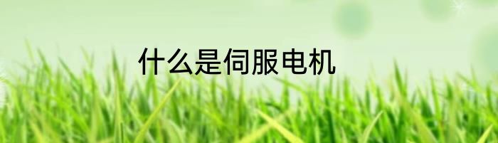 什么是伺服电机