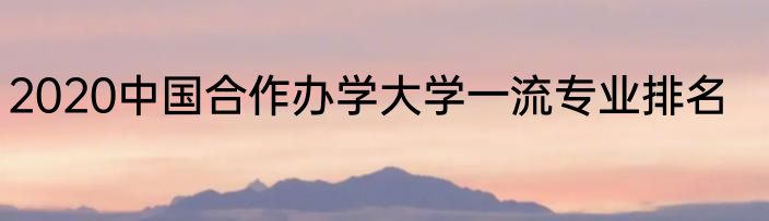 2020中国合作办学大学一流专业排名