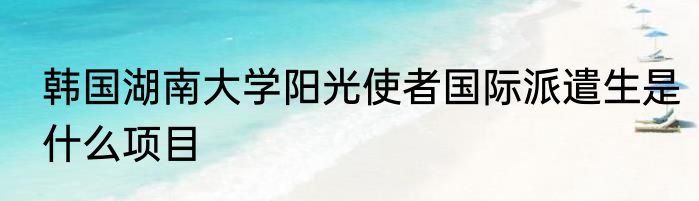 韩国湖南大学阳光使者国际派遣生是什么项目