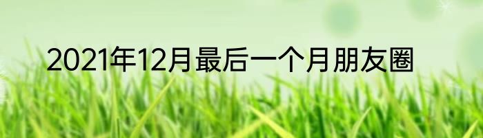 2021年12月最后一个月朋友圈