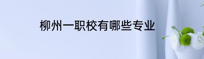 柳州一职校有哪些专业