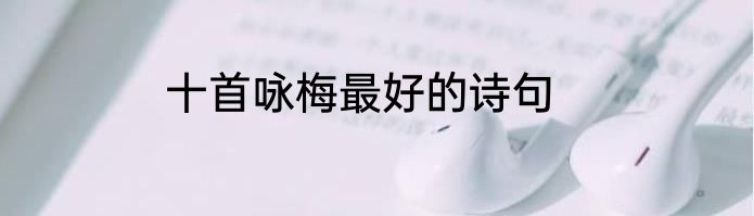 十首咏梅最好的诗句