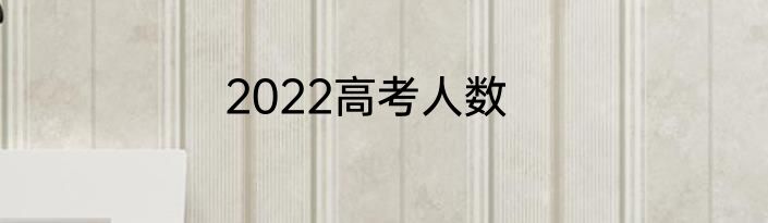 2022高考人数