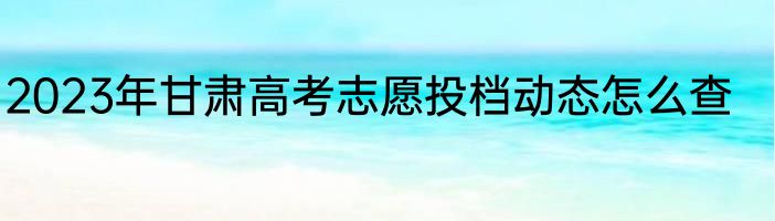 2023年甘肃高考志愿投档动态怎么查