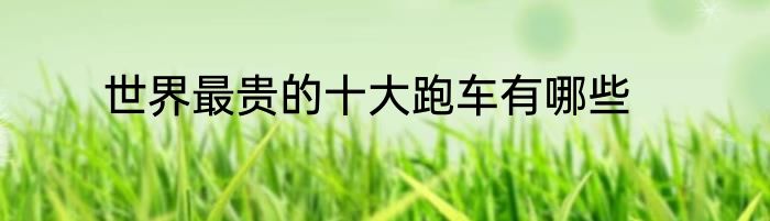 世界最贵的十大跑车有哪些