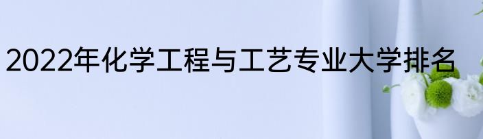 2022年化学工程与工艺专业大学排名