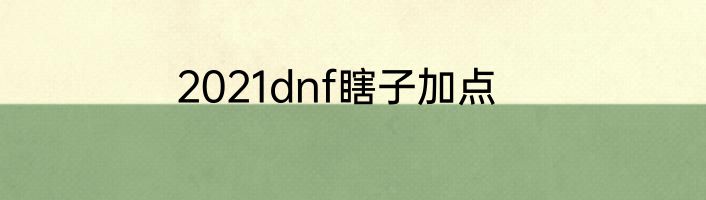 2021dnf瞎子加点