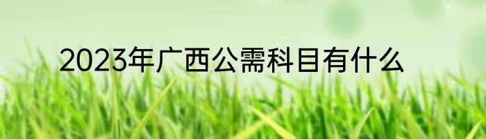 2023年广西公需科目有什么
