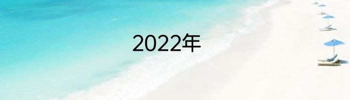 2022年