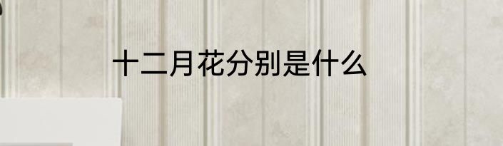 十二月花分别是什么