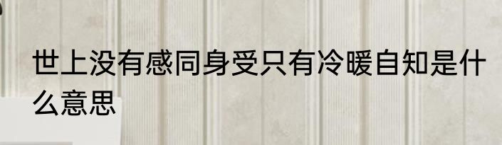 世上没有感同身受只有冷暖自知是什么意思