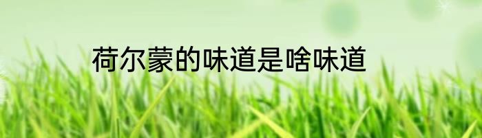 荷尔蒙的味道是啥味道