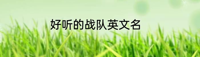 好听的战队英文名
