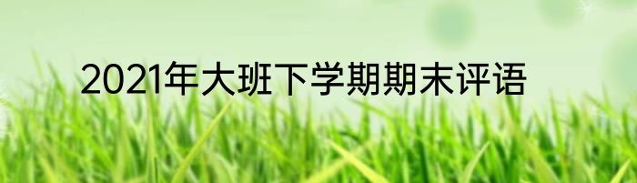 2021年大班下学期期末评语